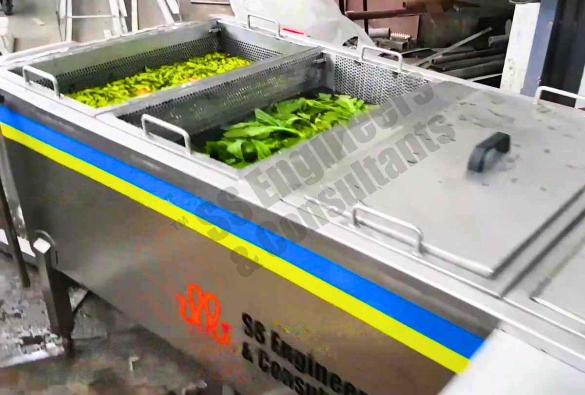 Salad And Cut Vegetables Processing Line